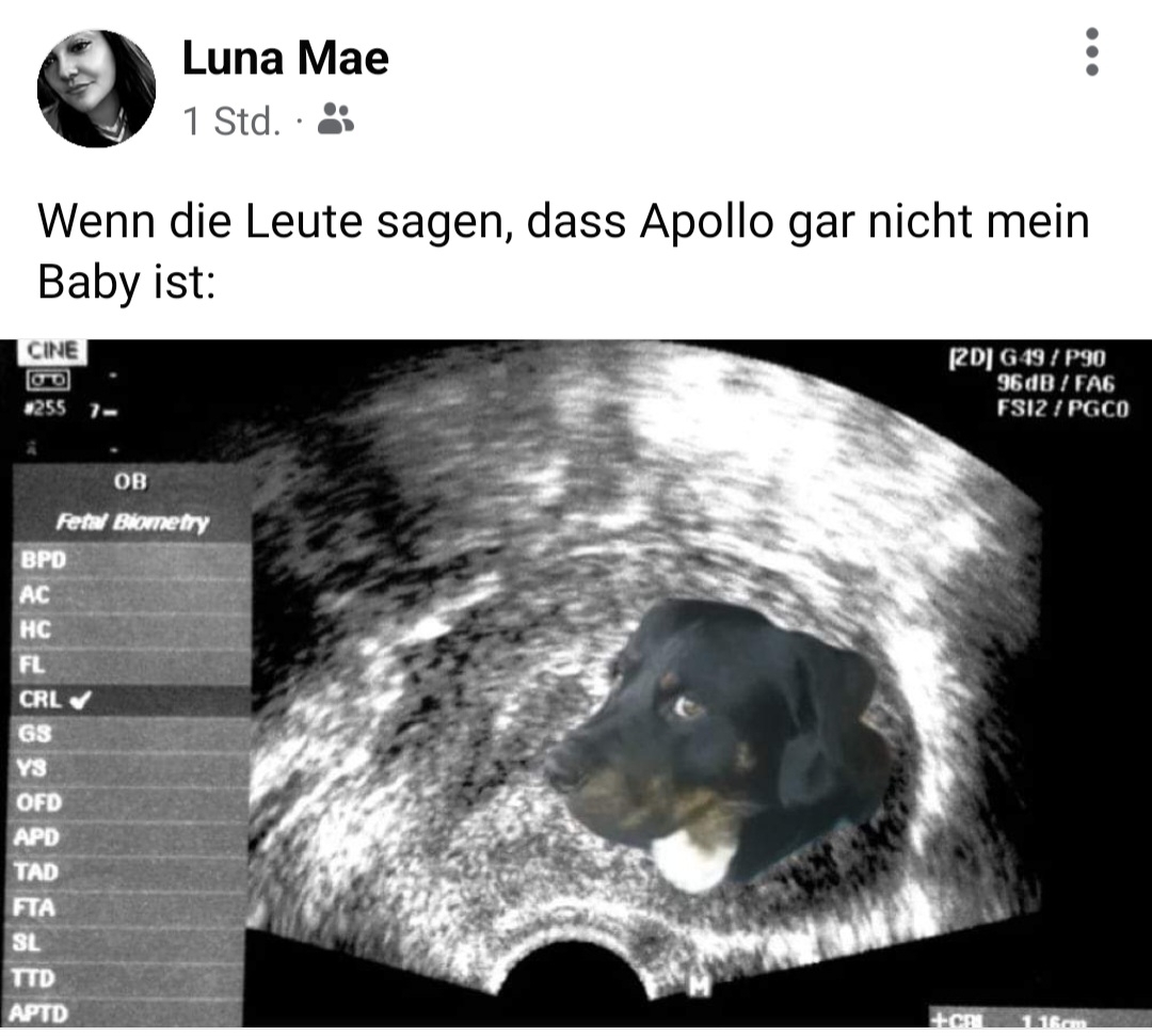 Luni