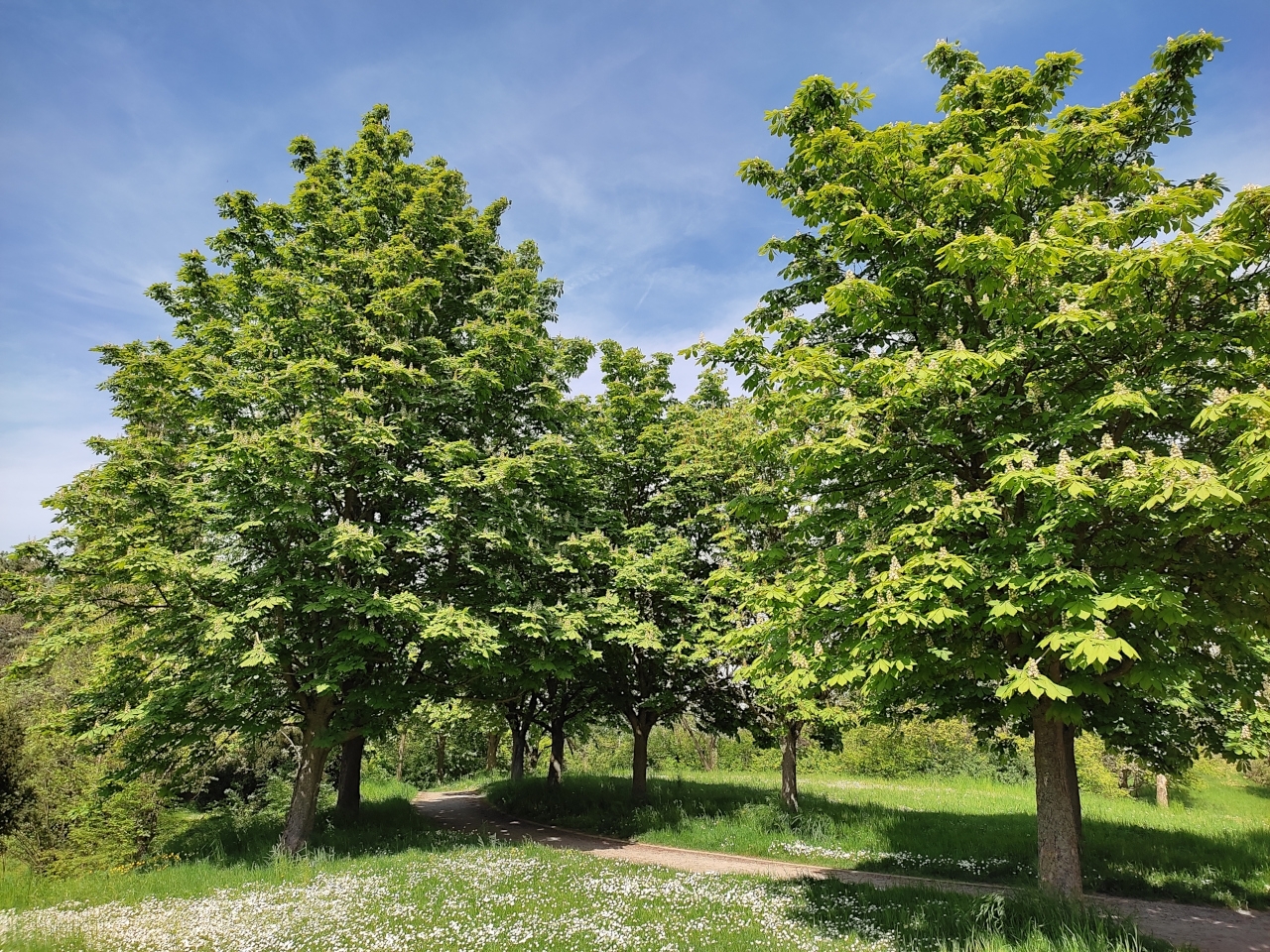 Unterwegs mit dem Smartie