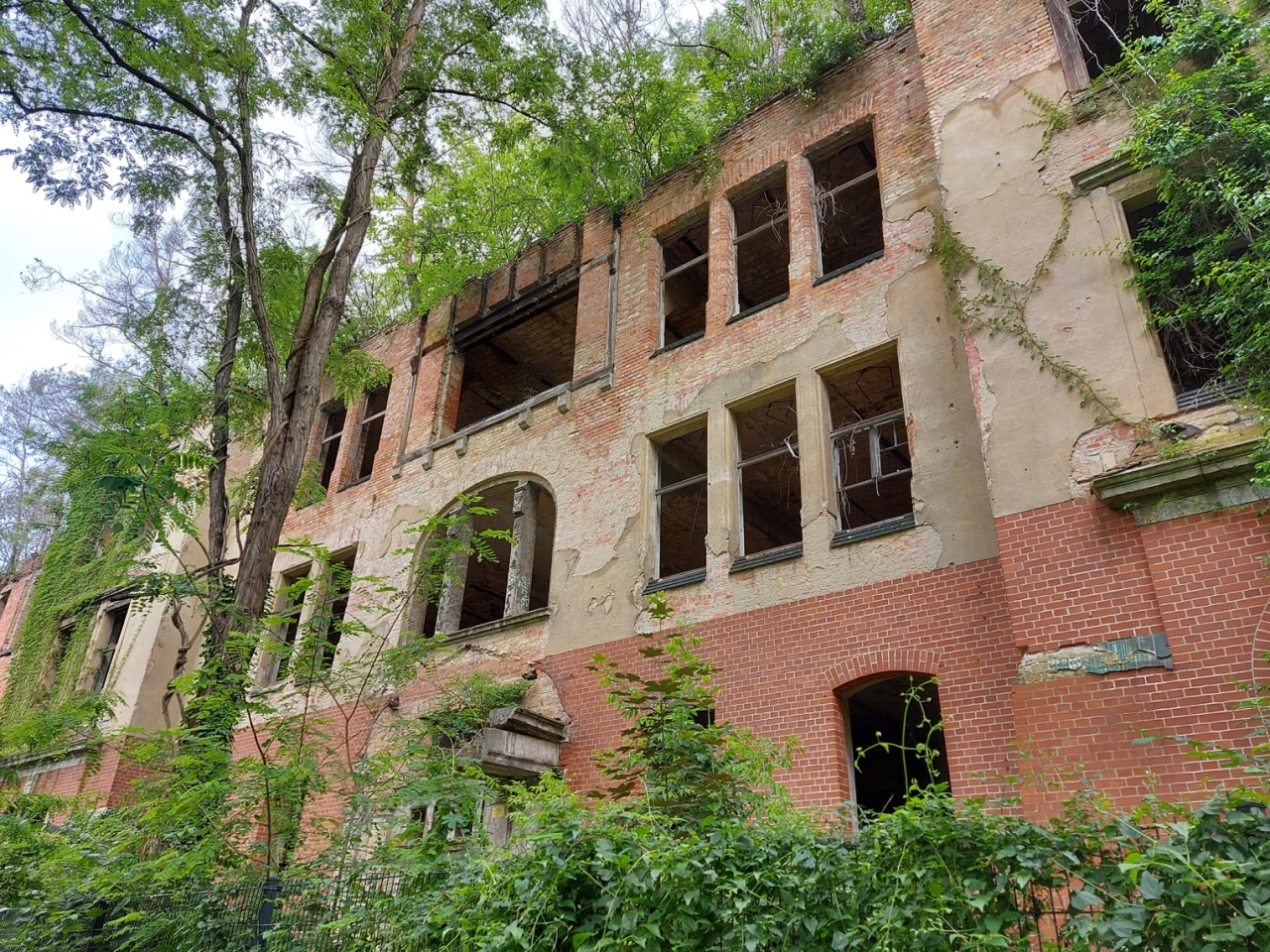 Lost Place und Baumwipfelpfad: Beelitz HeilstÃ¤tten