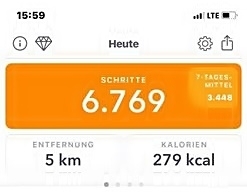 Stockerauer - Auwald am 22.08.