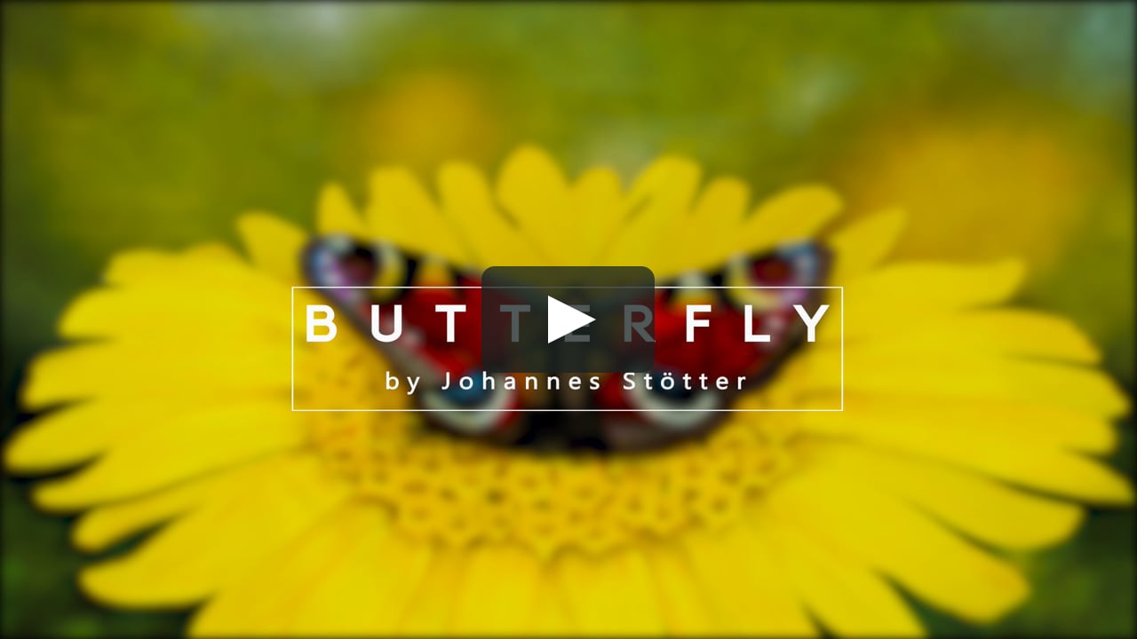 Bodypaint Illusion - Butterfly by Johannes StÃ¶tter