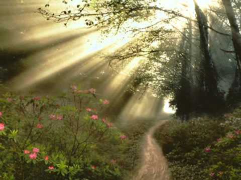 Morgenstimmung.Morning Mood.Peer Gynt.Grieg.begins with nature sounds Edited by Marino van Wakeren.