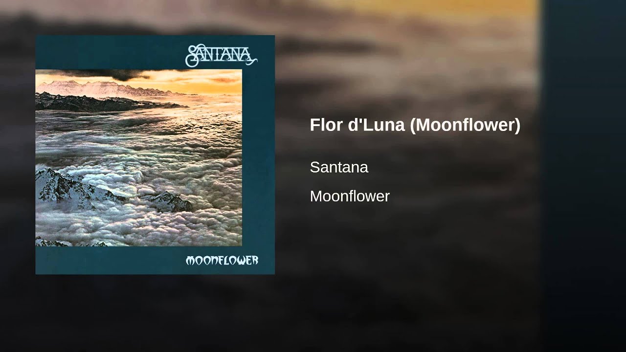 Flor dÂ´Luna