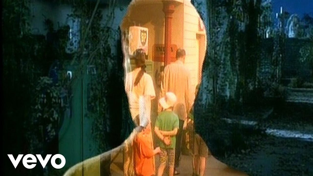 Sting - Fields of Gold