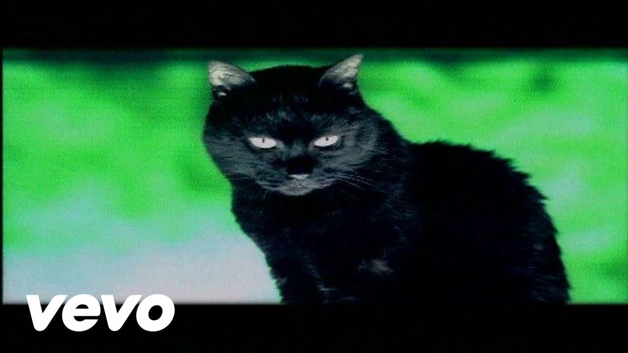 Du trÃ¤gst keine Liebe in dir