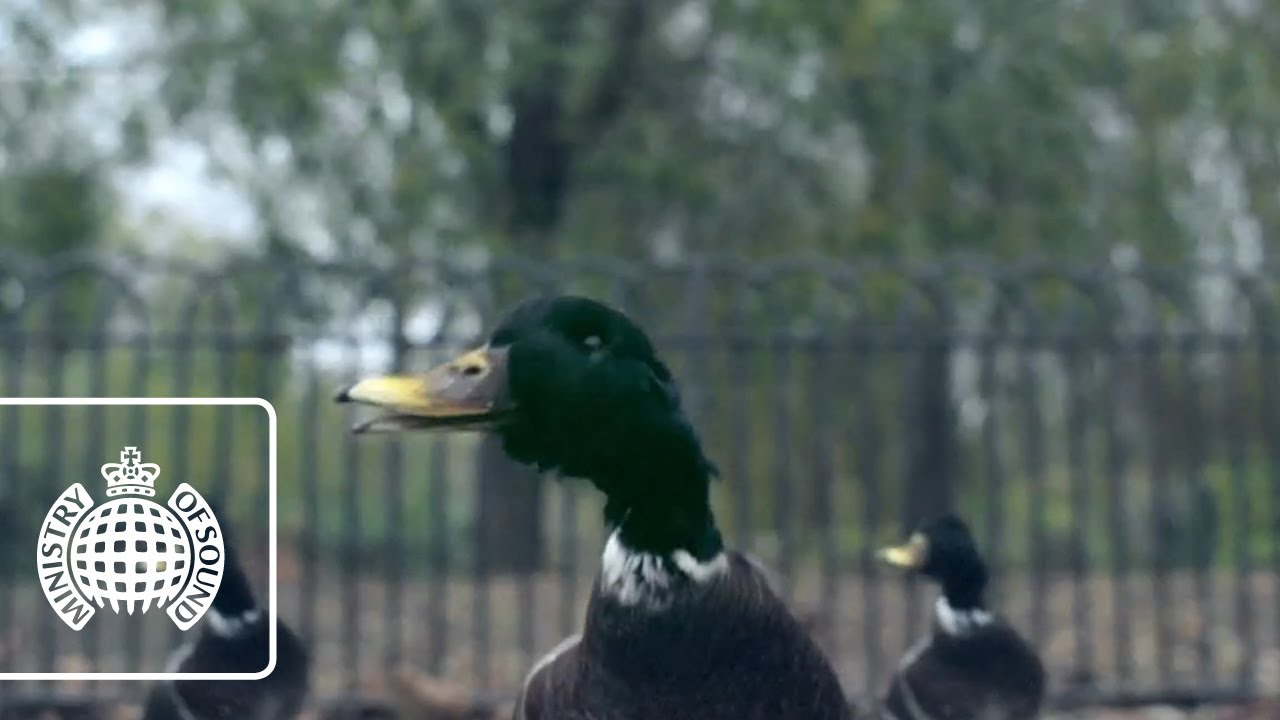 Bingo Players ft. Far East Movement - Get Up (Rattle)