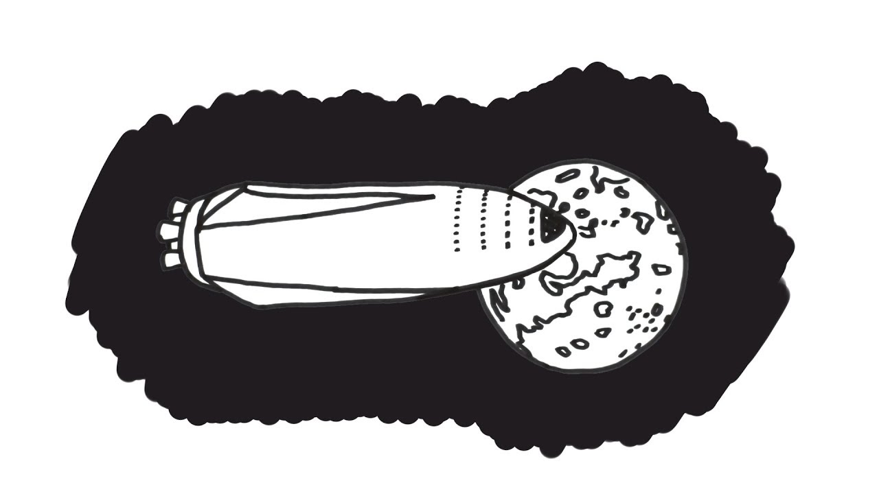 Die Marsmission von Elon Musk