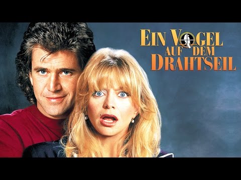 Ein Vogel auf dem Drahtseil 