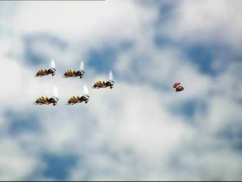 Patrouille de bzzz