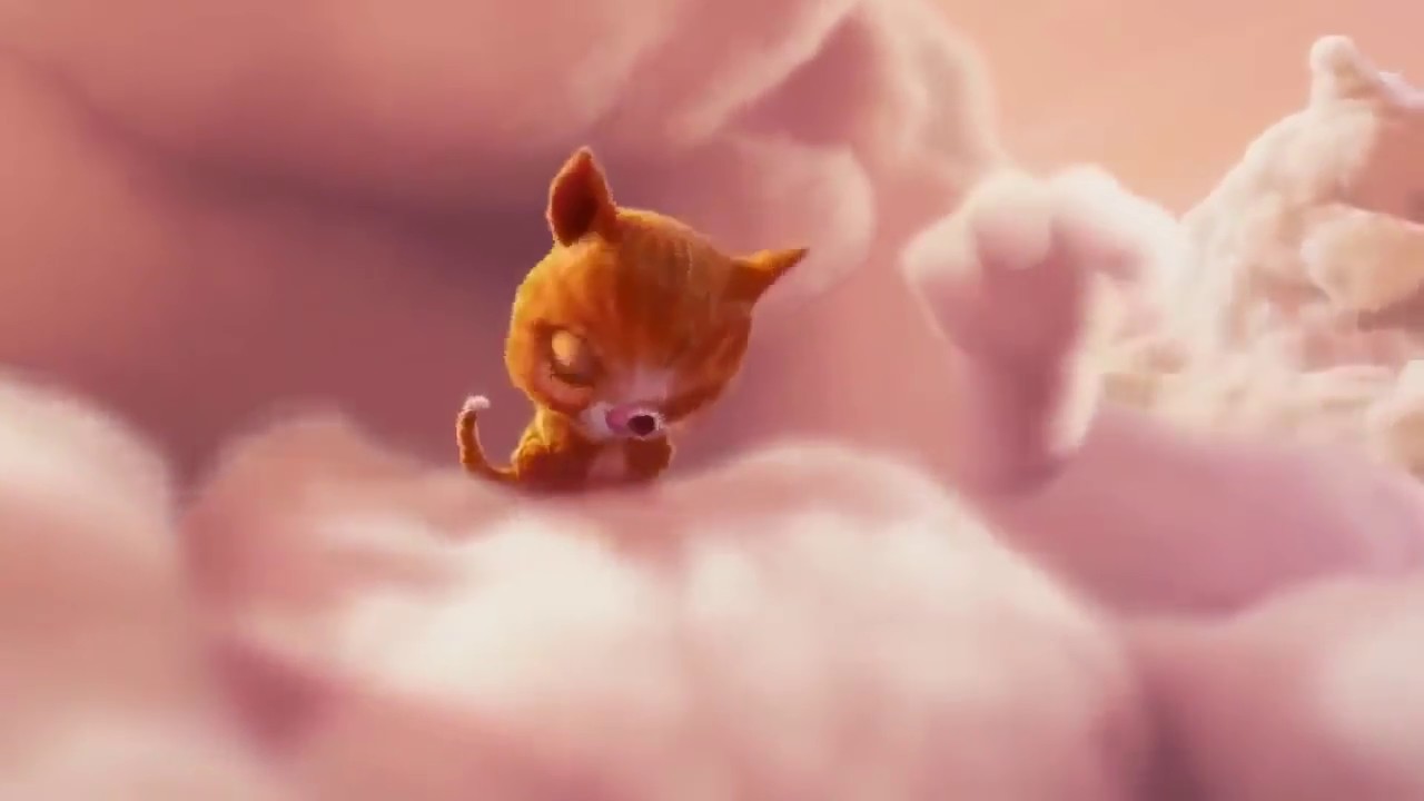 Kto rano wstaje, ten ma dziecko