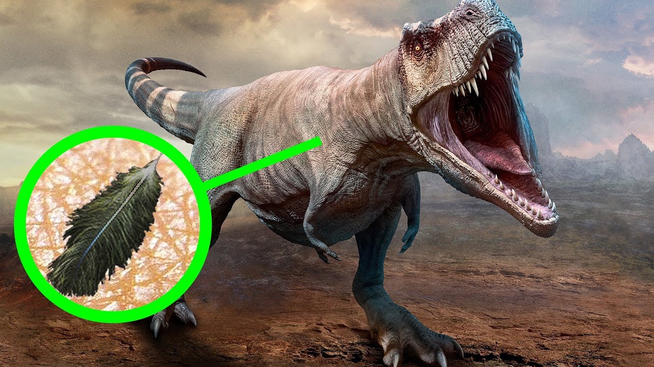 11 Schockierende Fakten Ã¼ber Dinosaurier, die bisher unbekannt waren