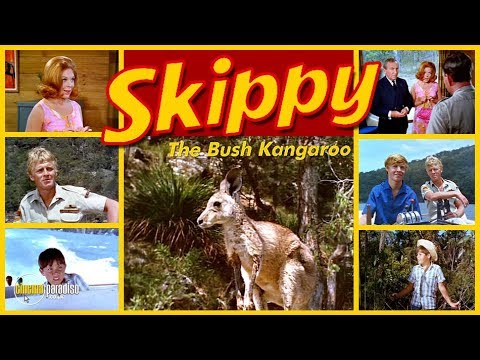 Skippy the Bush Kangaroo