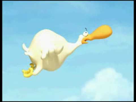 LOL VÃ¶gel mit Flugangst