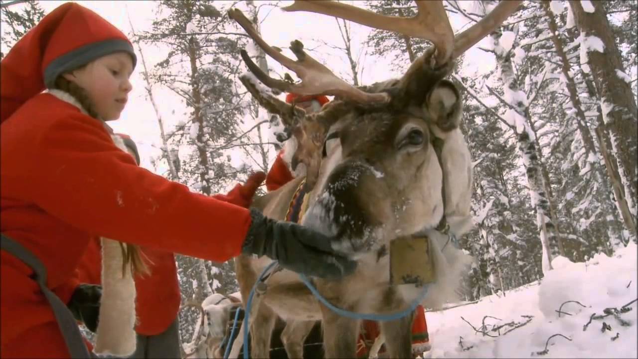 Bald nun ist Weihnachtszeit