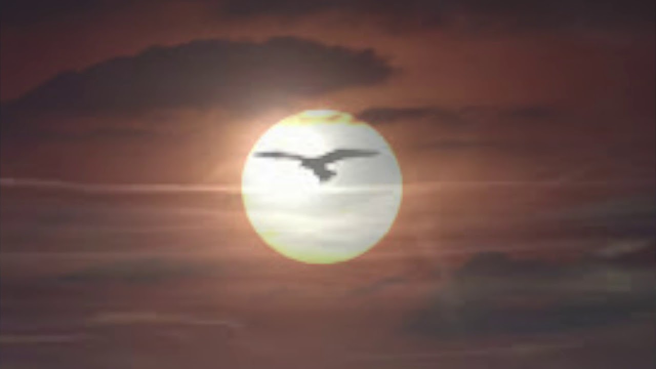 Geh in Frieden nun (The winner takes it all)