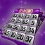 Die Lunaria BINGO-Show