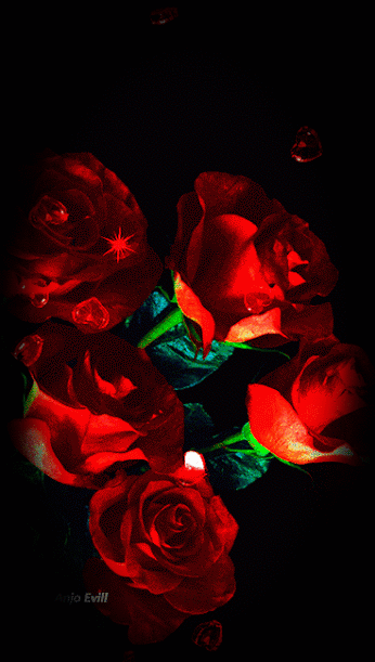 c1ed0262c5680bc1e8f26786d67735c4