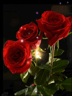 697dce51ce937d2ffea247c8874f46a7 (1)