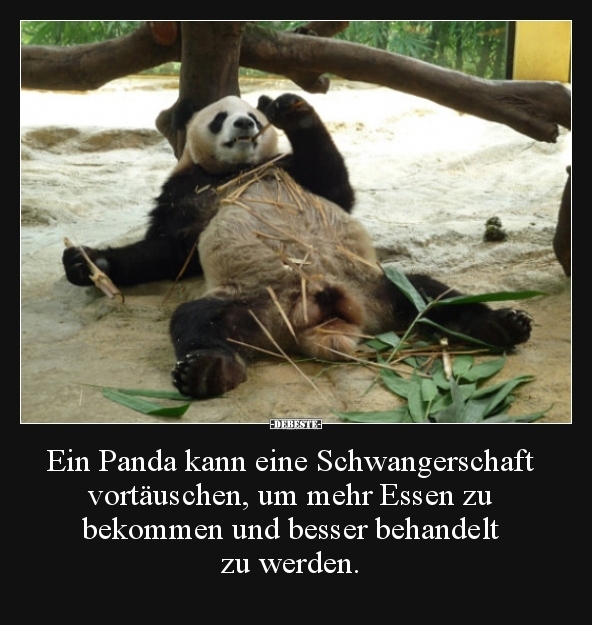 94476a471bc3182d46f71241e53cf1a04621